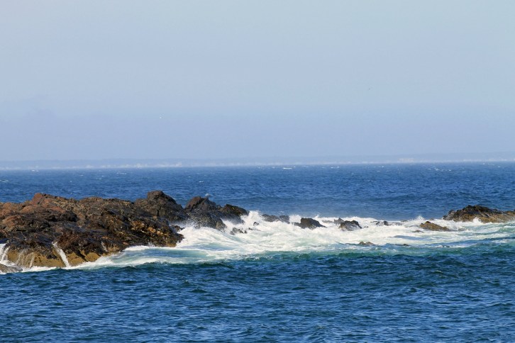The Ocean, Marginal Way