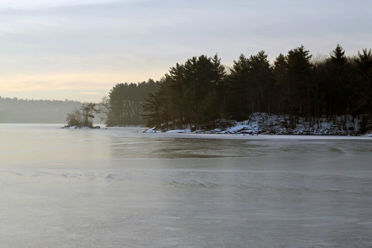 Mist On Spot Pond Too