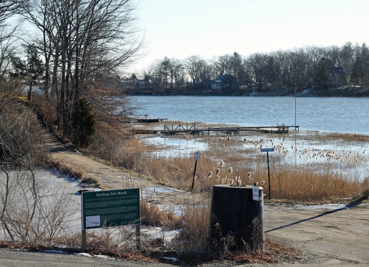 The Salt Marsh, Newbury, Massachusetts