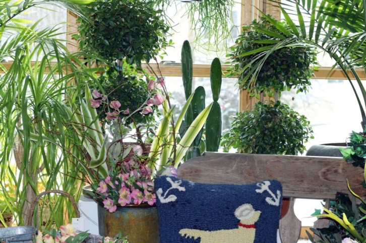 Shop Window-Stowe VT 2