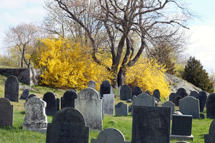 Old Burial Hill Stones Two, Marblehead, MA