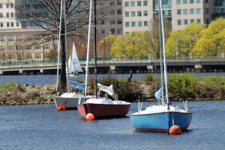 Sailboats at Rest