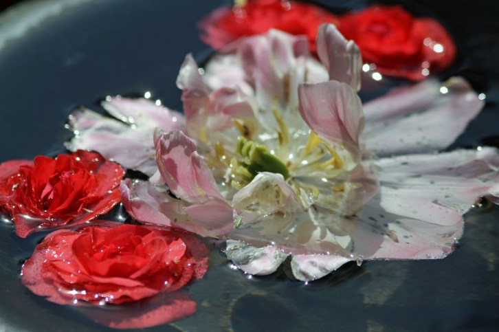 The Fountain at Audubon Sanctuary, Belmont, MA