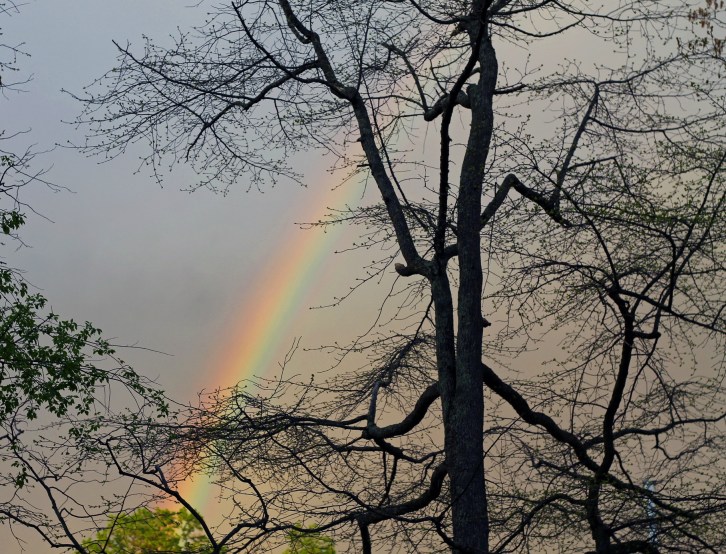 The Rainbow, Pasadena, MD