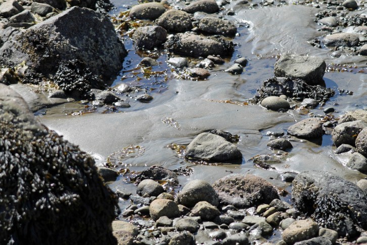 Tide Going Out, Gloucester MA