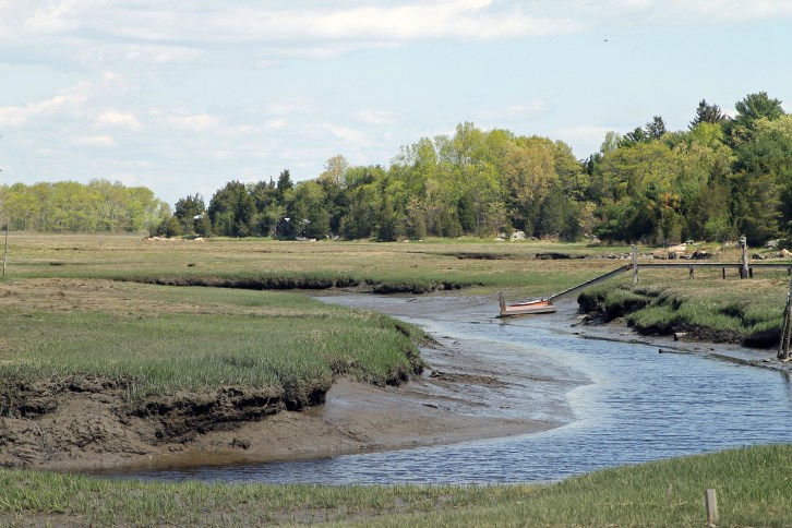 On the Salt Marsh, Gloucester, MA