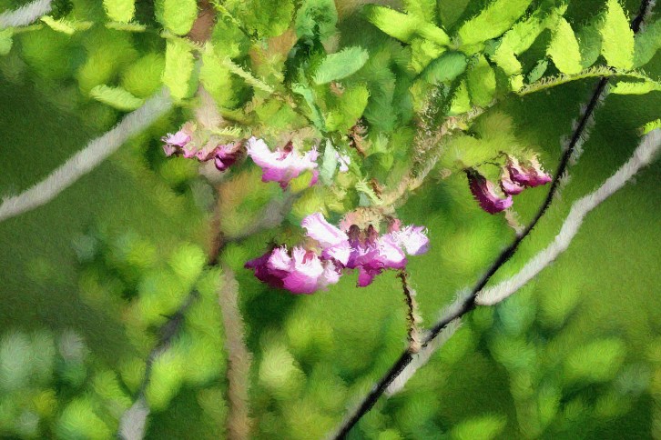 Expressionist Garden