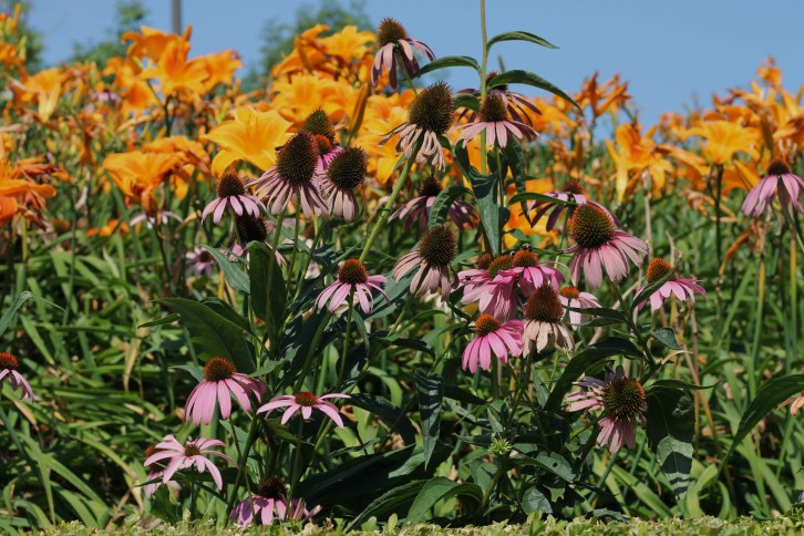 City Garden Too, Boston, Massachusetts