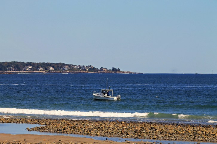 Ocean Bound, Wells Estuarine Research Reserve, Maine