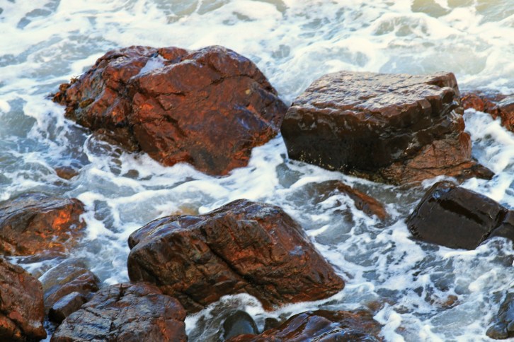 Foamy, Marginal Way, Maine