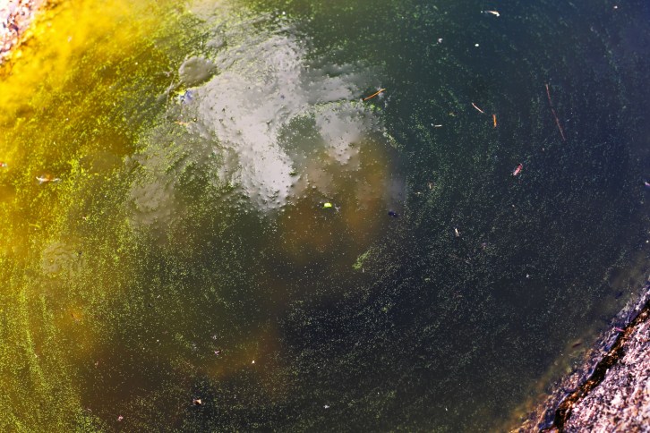 Murky Pool, Diana's Baths, New Hampshire