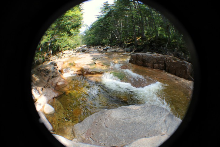 Otter Rocks Through the Fisheye
