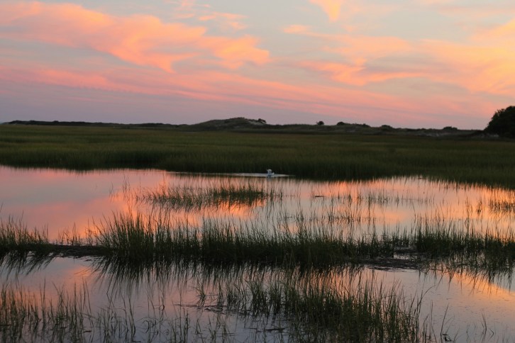 Early Evening, Provincetown Salt Marsh