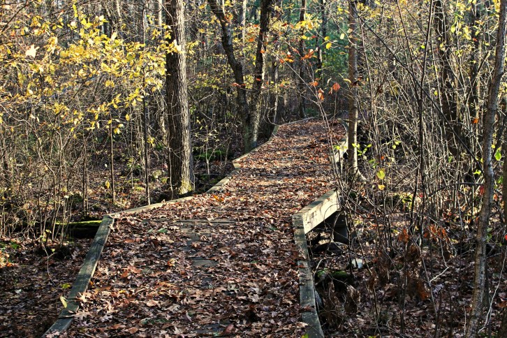 The Crooked Path at Minuteman Trail, Lexington-Concord, MA