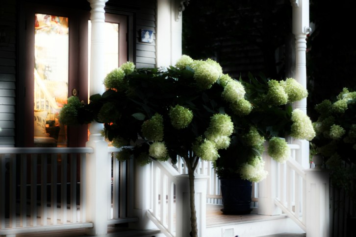 Commercial Street Store Front (Sci-Fi)