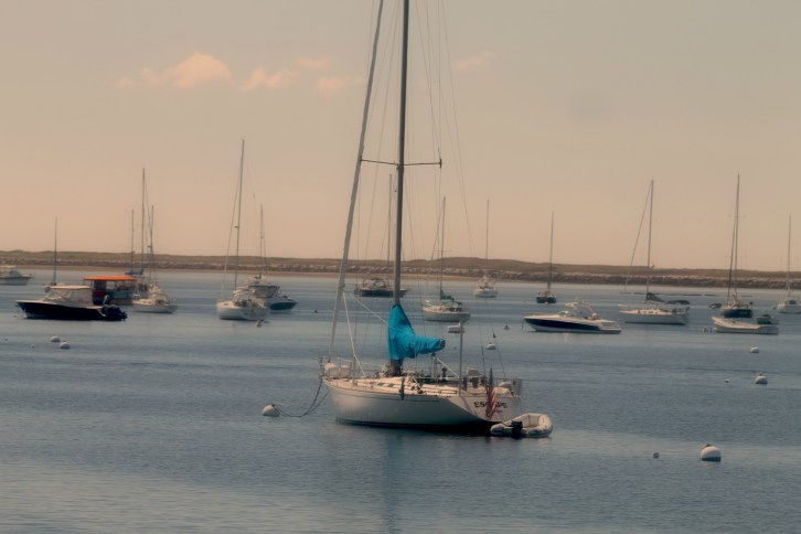 Sails at Rest, Provincetown Harbor