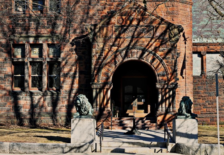 The Museum of Natural Science, Stowe, Vermont