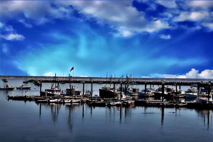 At Rest, Provincetown Harbor