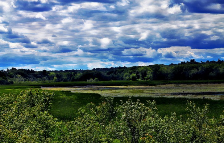 Vision of Great Meadows