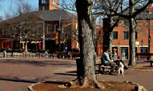 Morning in Market Square, Newburyport, Massachusetts