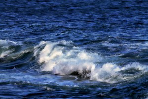 Rolling Waves, Marginal Way