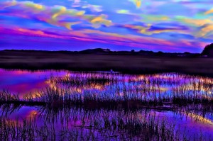 The Salt Marsh, Provincetown, Massachusetts