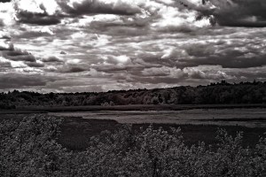 The Marsh at Great Meadows