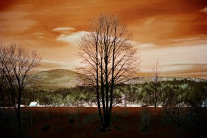 Winter Scene, Dramatic Infrared