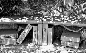 The Children's Garden at Camden Public Library