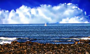 The Lone Sailboat, Perkins Cove, Maine