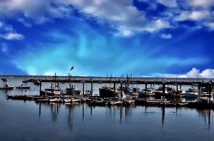 At Rest, Provincetown Harbor