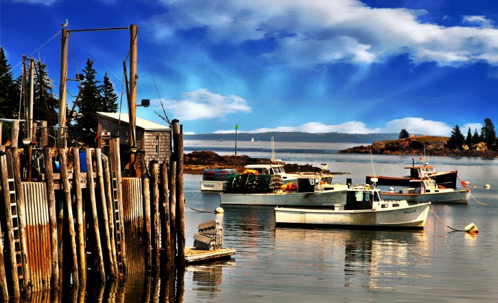 View of Lincolnville Harbor, Maine
