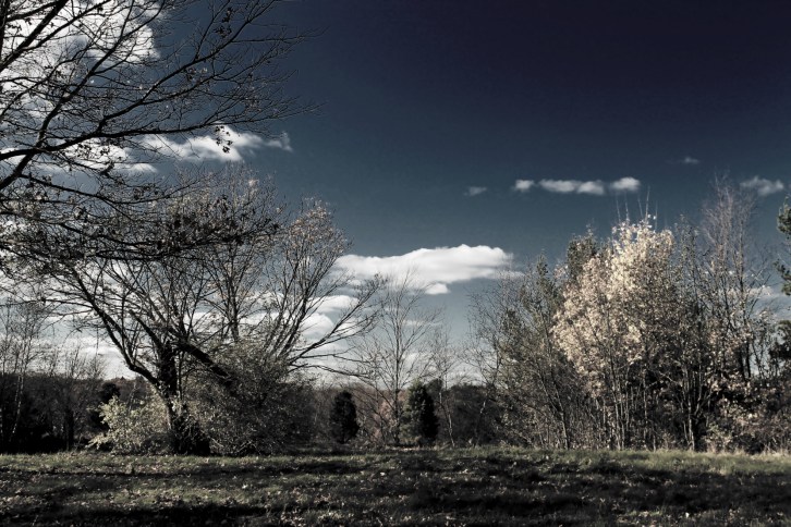 Along the Minuteman Trail