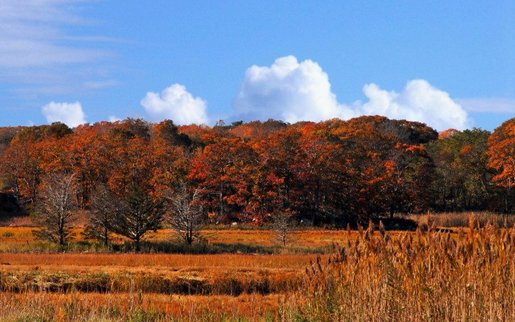 Fall in Essex-4C-hdri