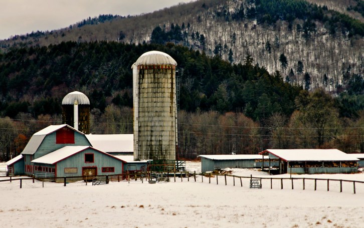Leicester Farm-1A-hdri