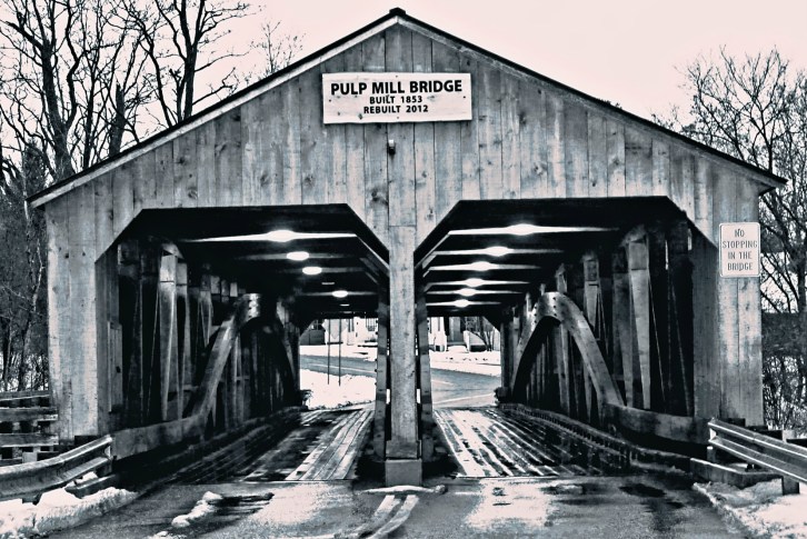 Pulp Mill Bridge-Duotone hdr pop
