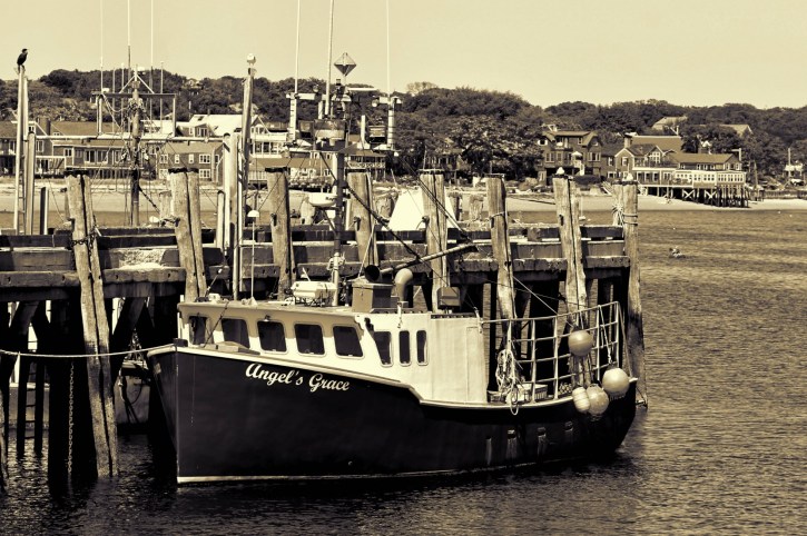 Angels Grace-Sepia &amp; Selenium I